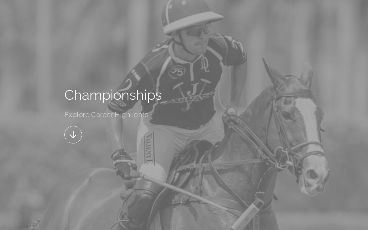 Carrd profile picture for @championships